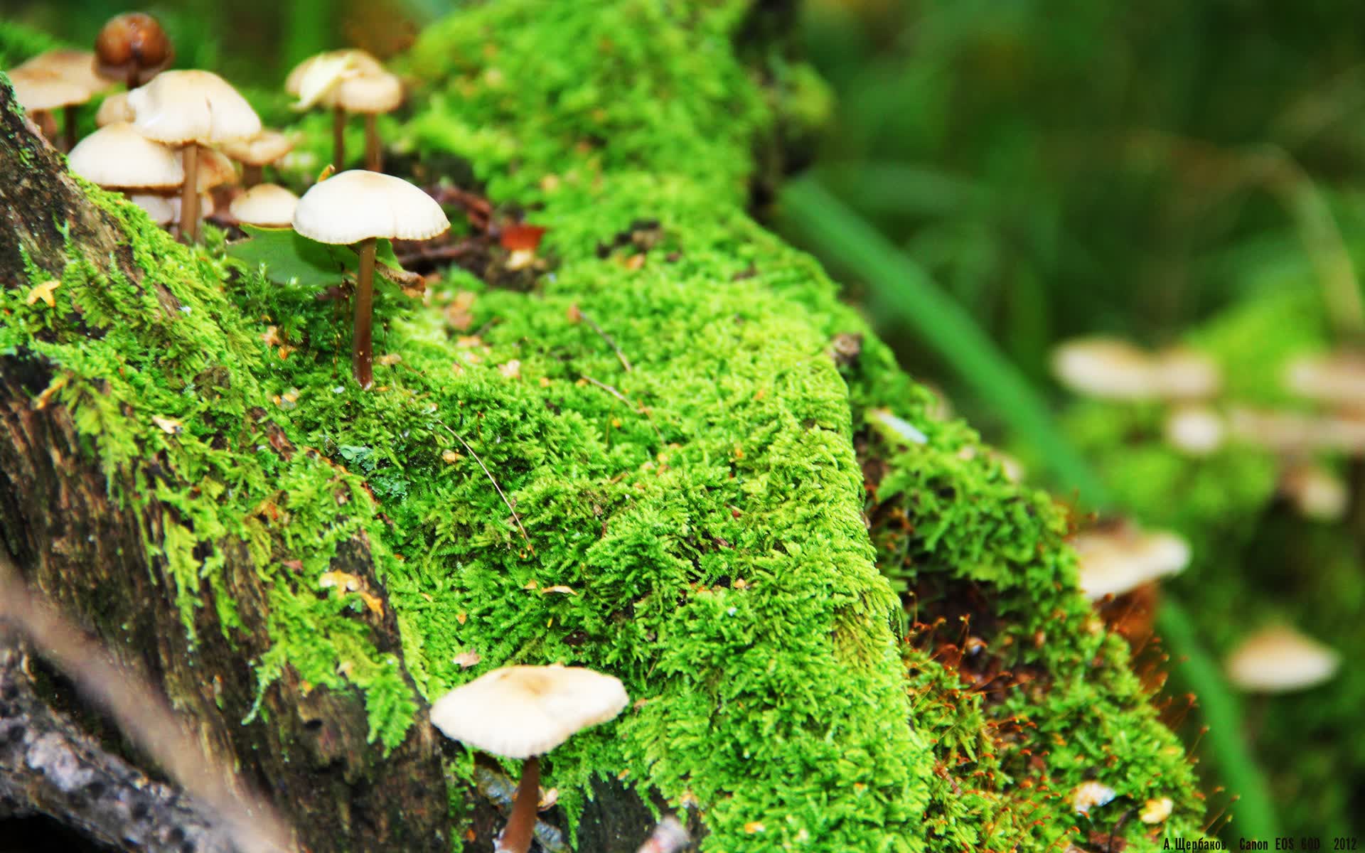 世界举重锦标赛反兴奋剂宣传片上线,世界举重青年锦标赛
